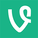 vine logo